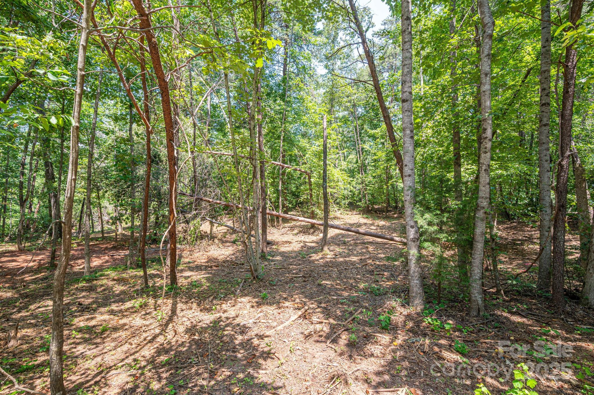 Lot 5 Annapolis Court Rutherfordton NC 28139