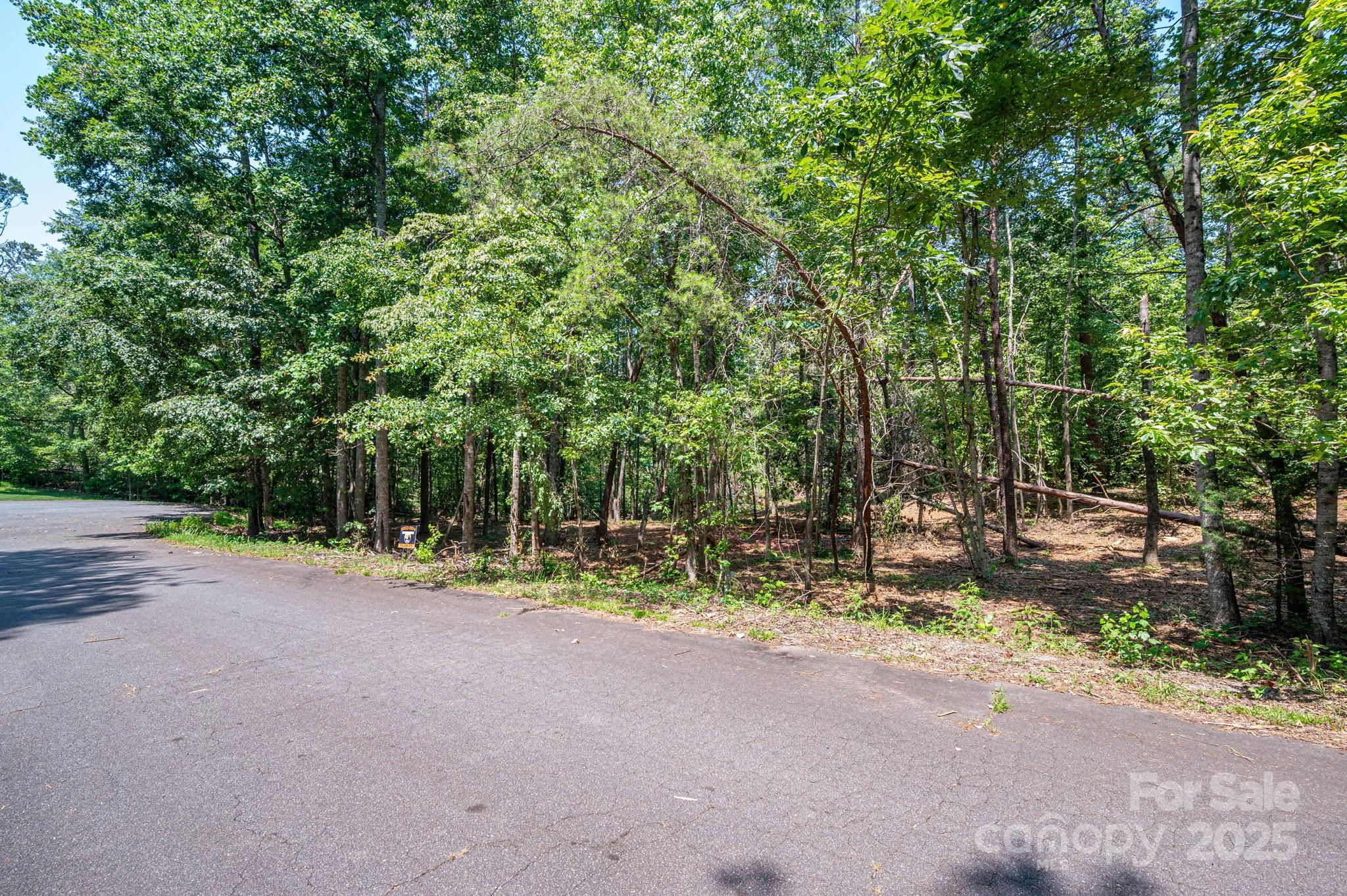 Lot 5 Annapolis Court Rutherfordton NC 28139