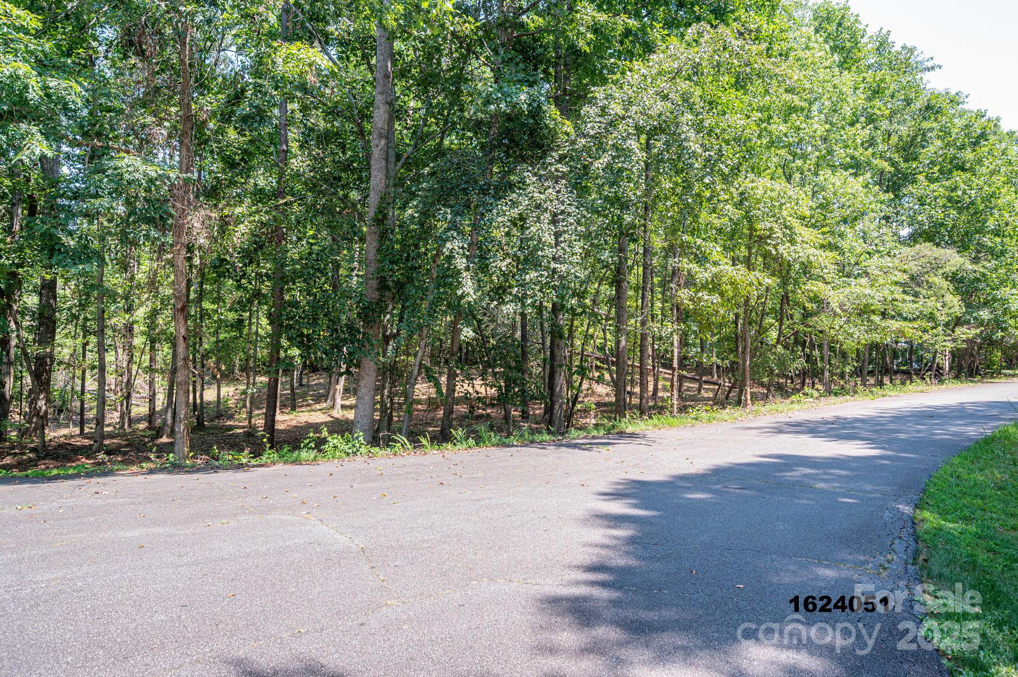 Lot 5 Annapolis Court Rutherfordton NC 28139