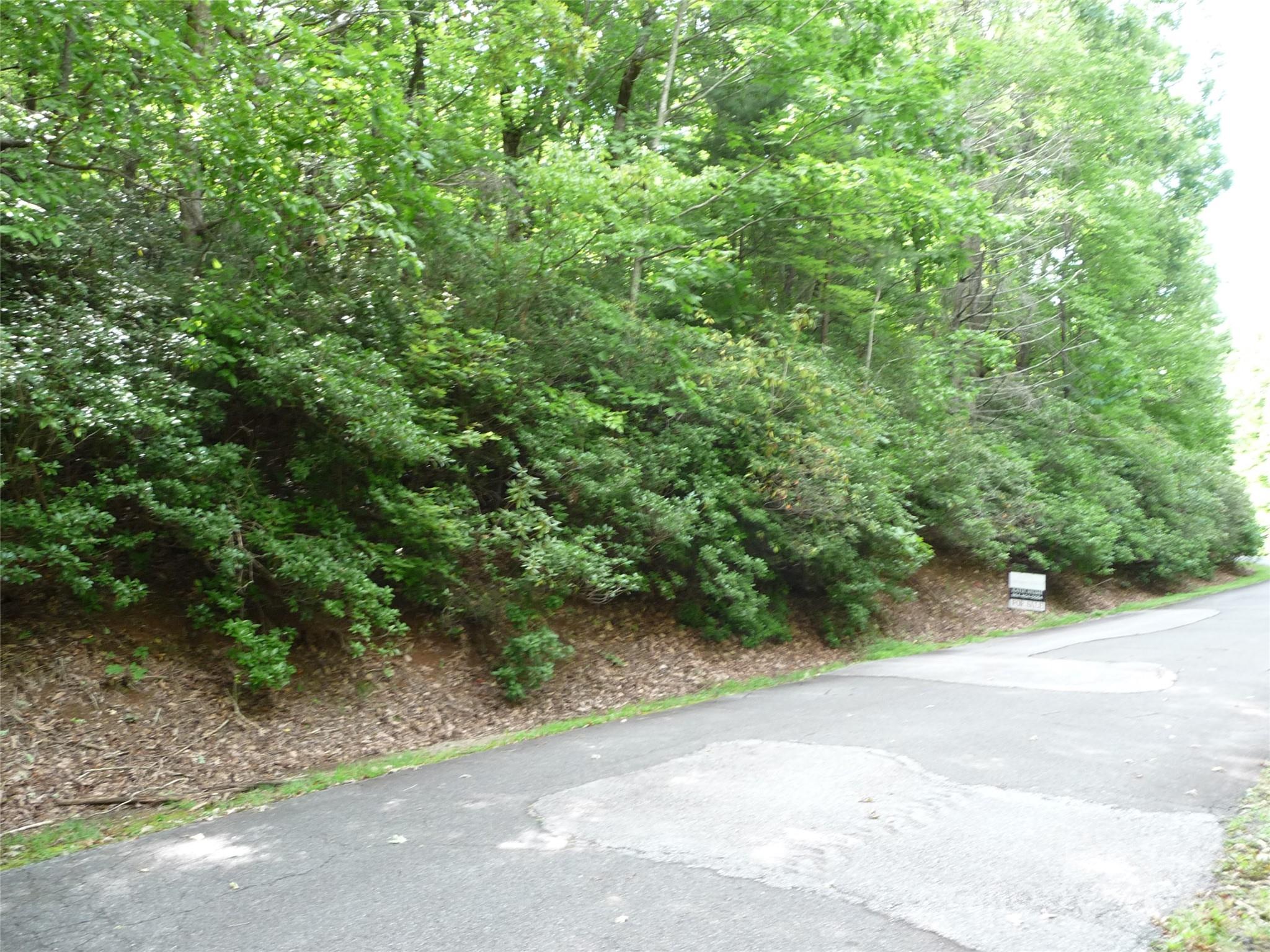 Lot 70 Serpentine Drive Columbus NC 28722