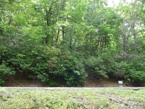 Lot 70 Serpentine Drive Columbus NC 28722