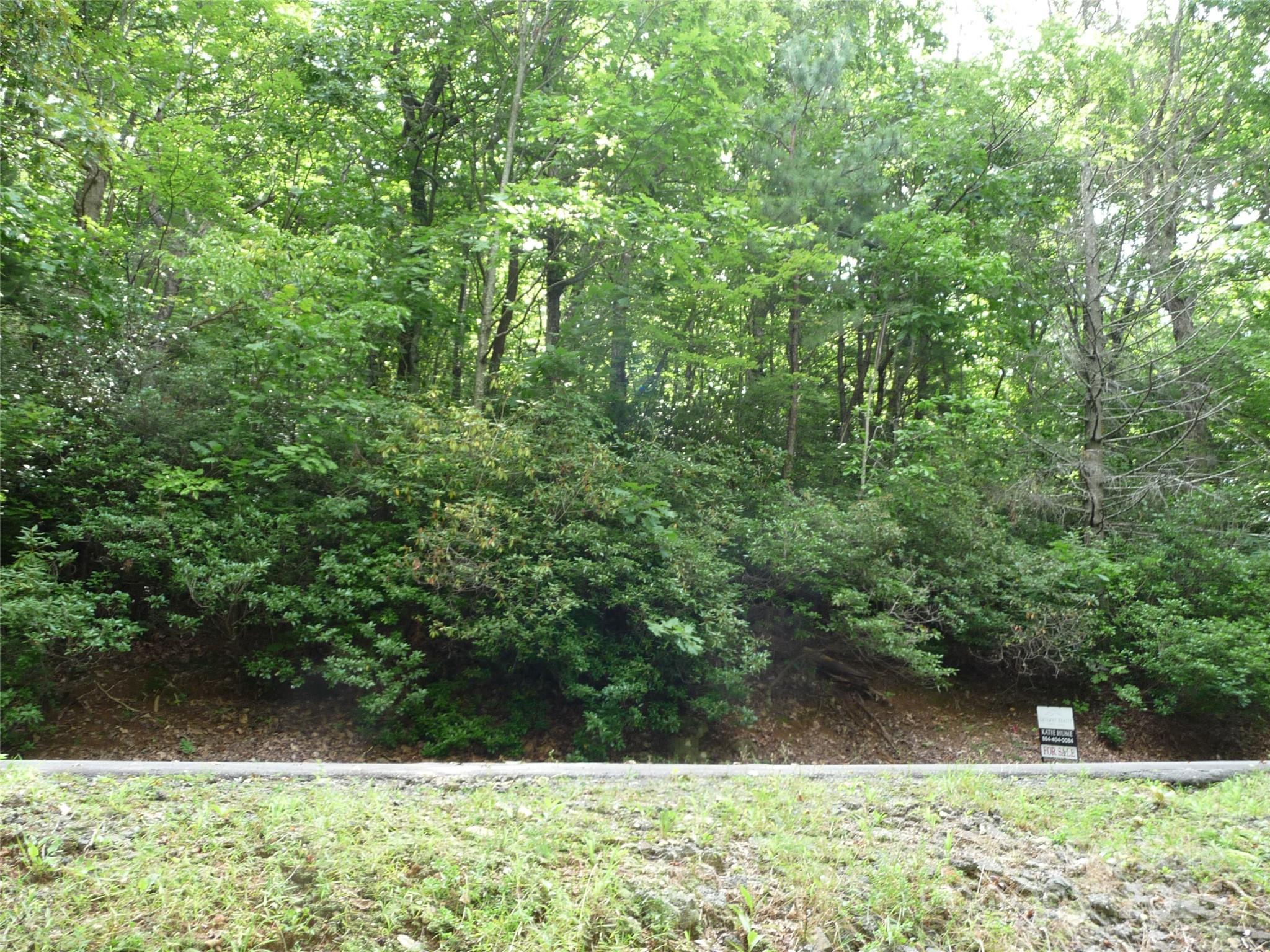 Lot 70 Serpentine Drive Columbus NC 28722
