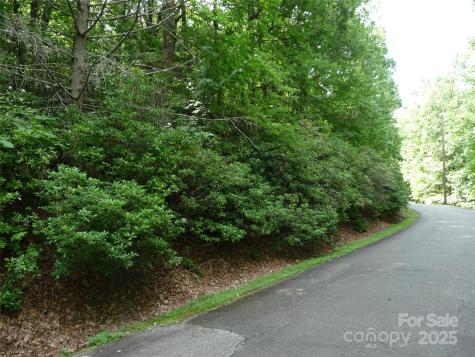 Lot 70 Serpentine Drive Columbus NC 28722