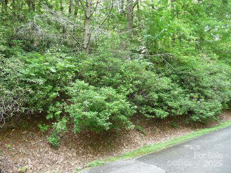 Lot 70 Serpentine Drive Columbus NC 28722