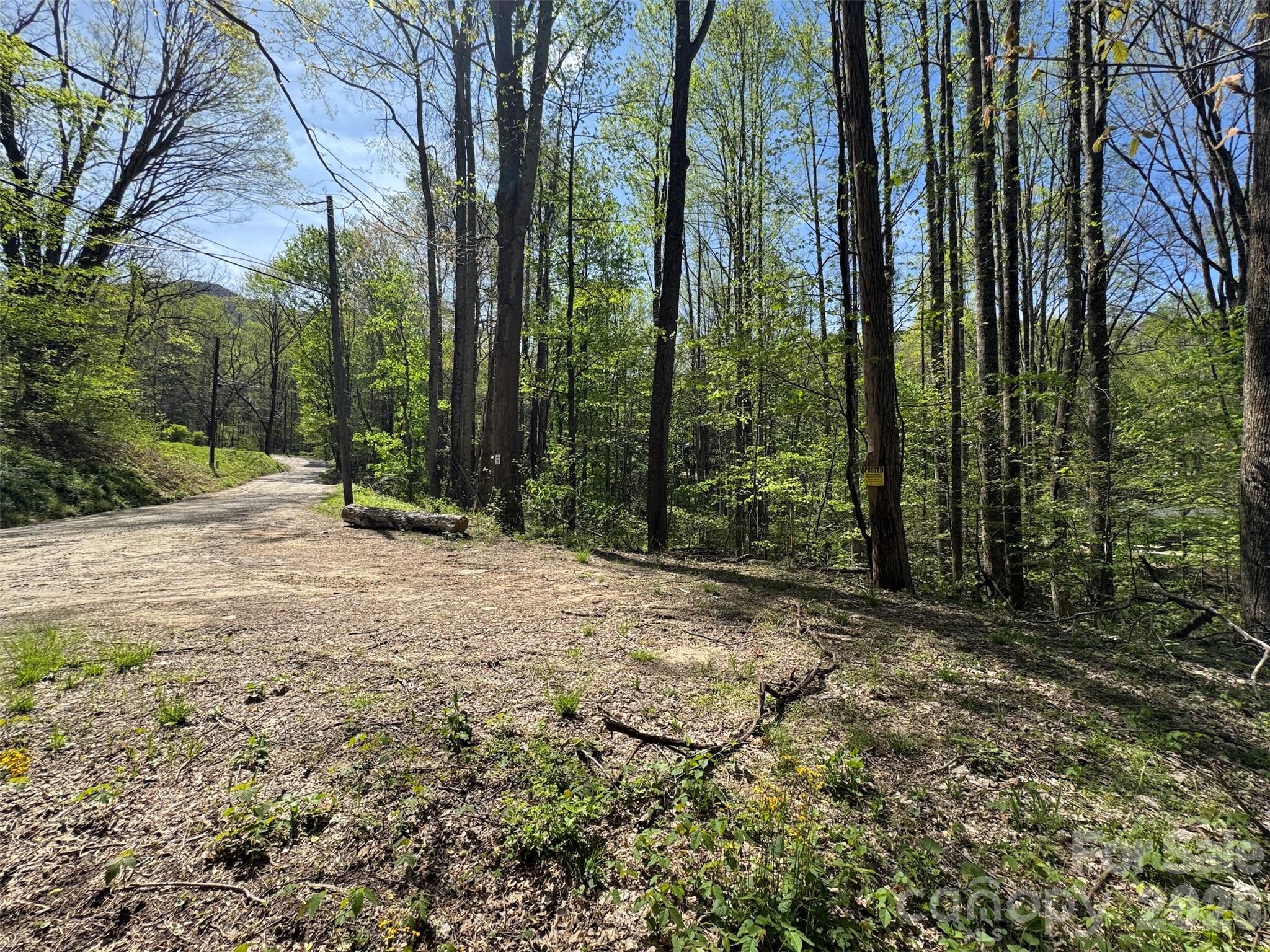 Tbd (B) Browning Branch Road Waynesville NC 28786