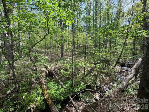 Tbd (B) Browning Branch Road Waynesville NC 28786