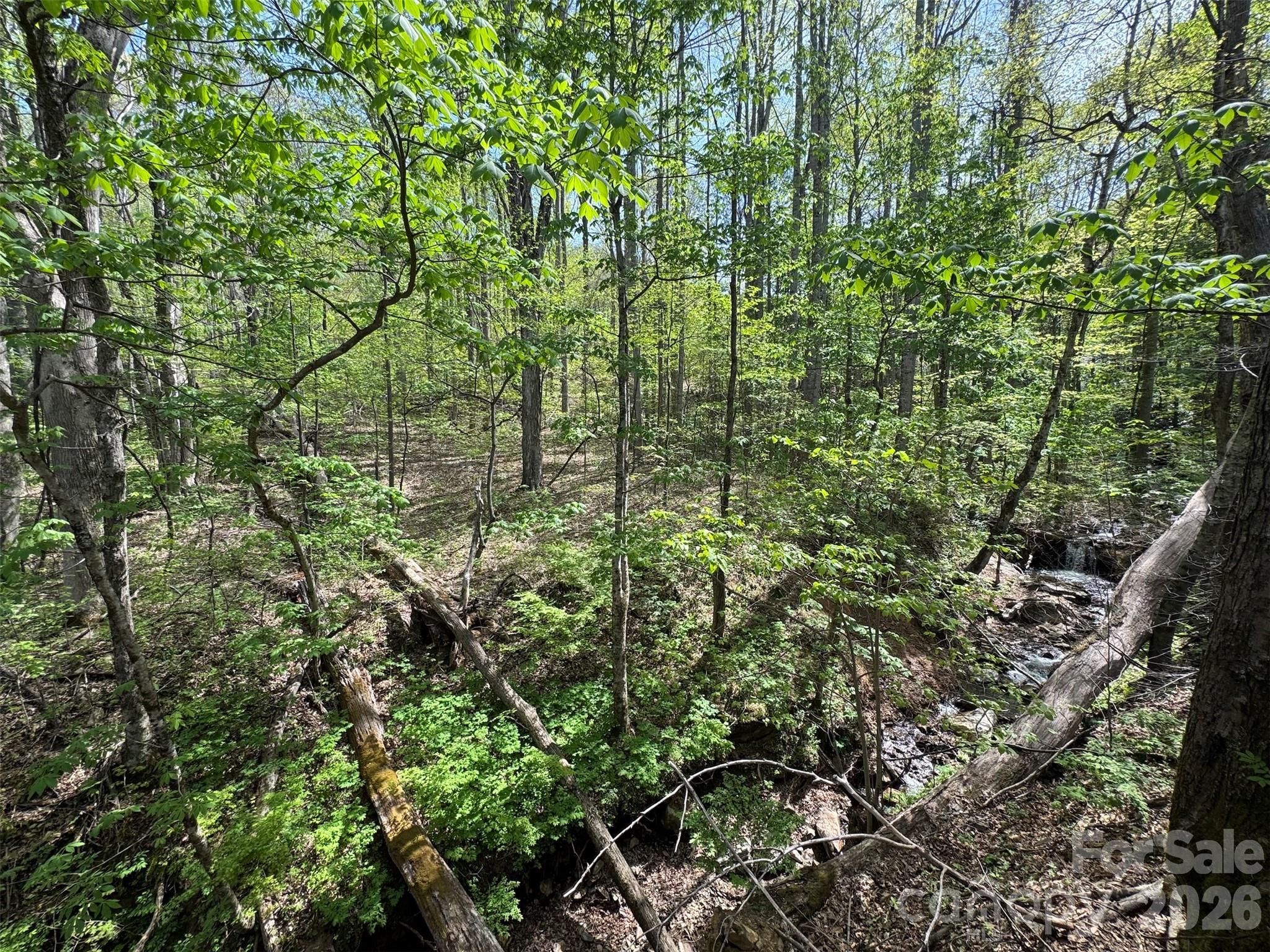 Tbd (B) Browning Branch Road Waynesville NC 28786