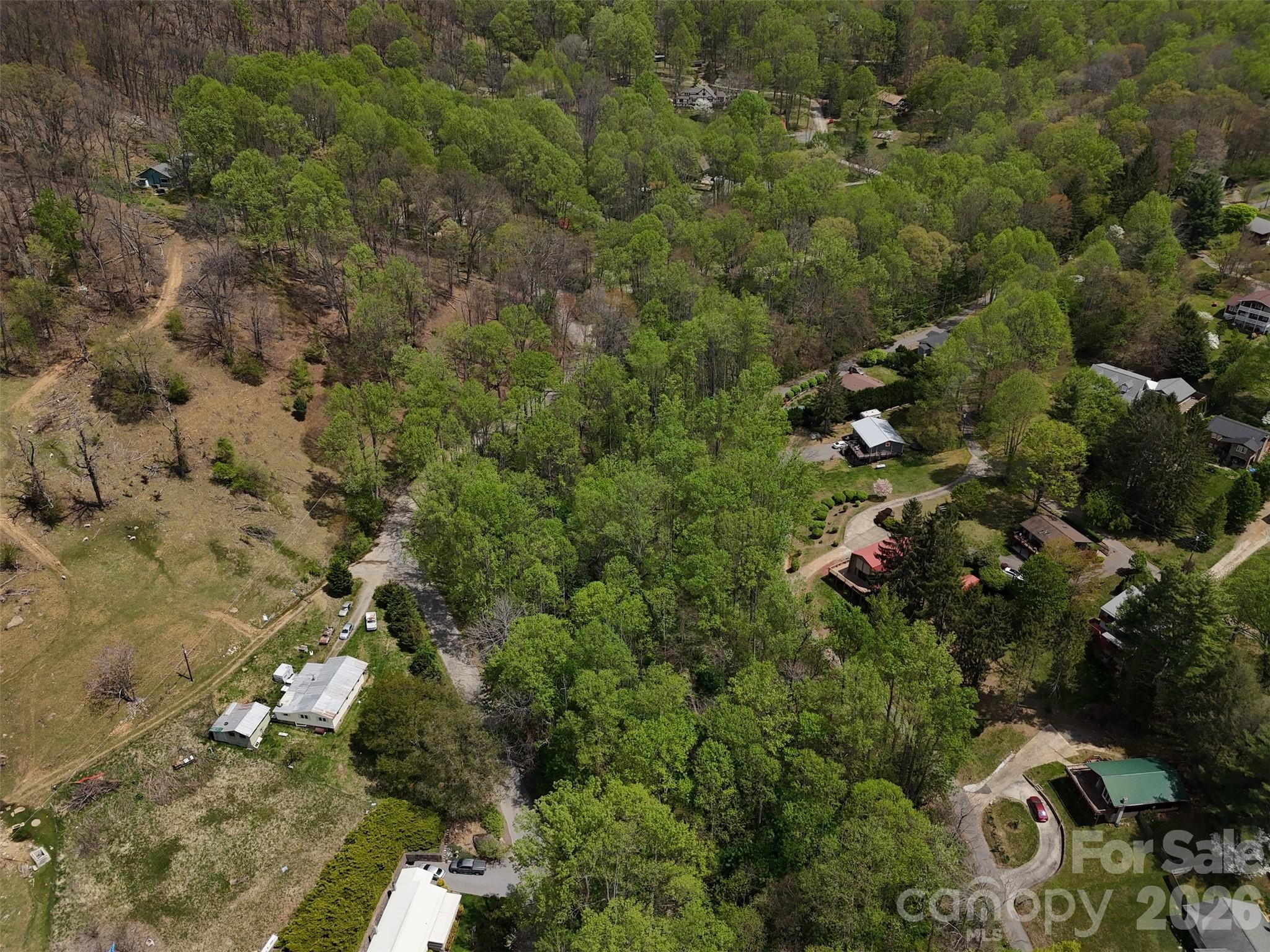 Tbd (B) Browning Branch Road Waynesville NC 28786