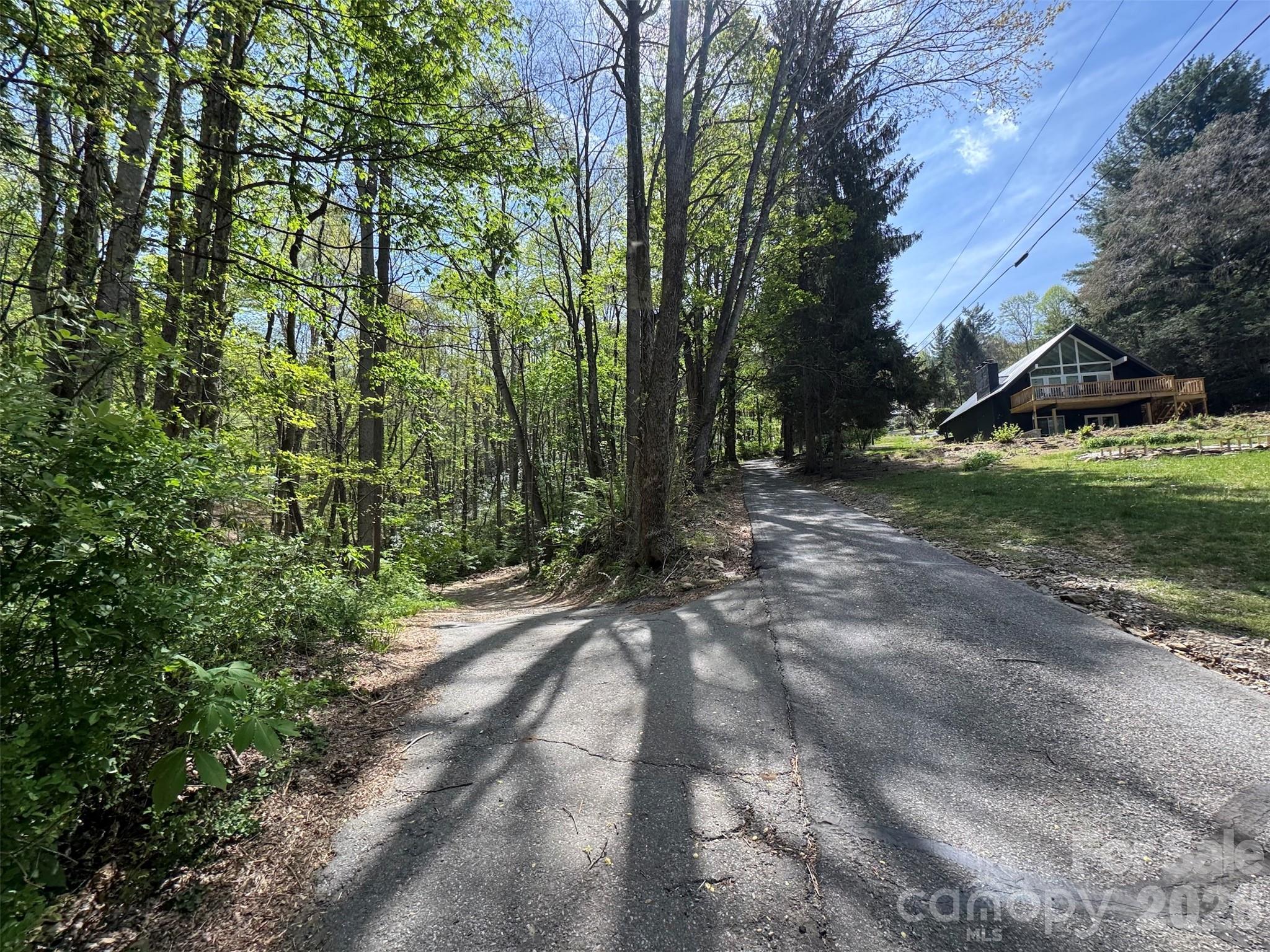 Tbd (B) Browning Branch Road Waynesville NC 28786