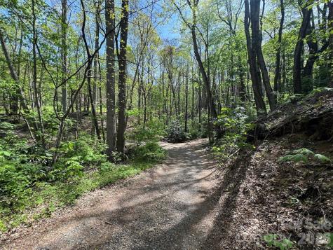 Tbd (B) Browning Branch Road Waynesville NC 28786