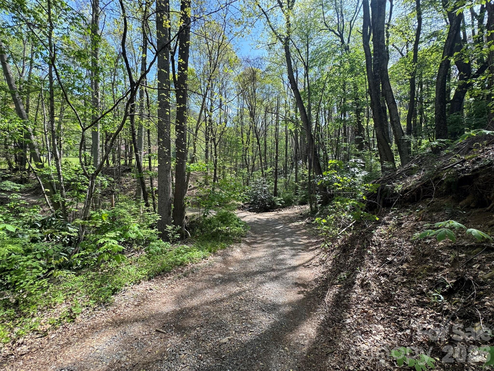 Tbd (B) Browning Branch Road Waynesville NC 28786