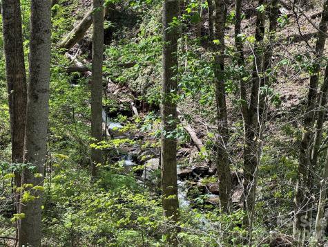 Tbd (B) Browning Branch Road Waynesville NC 28786