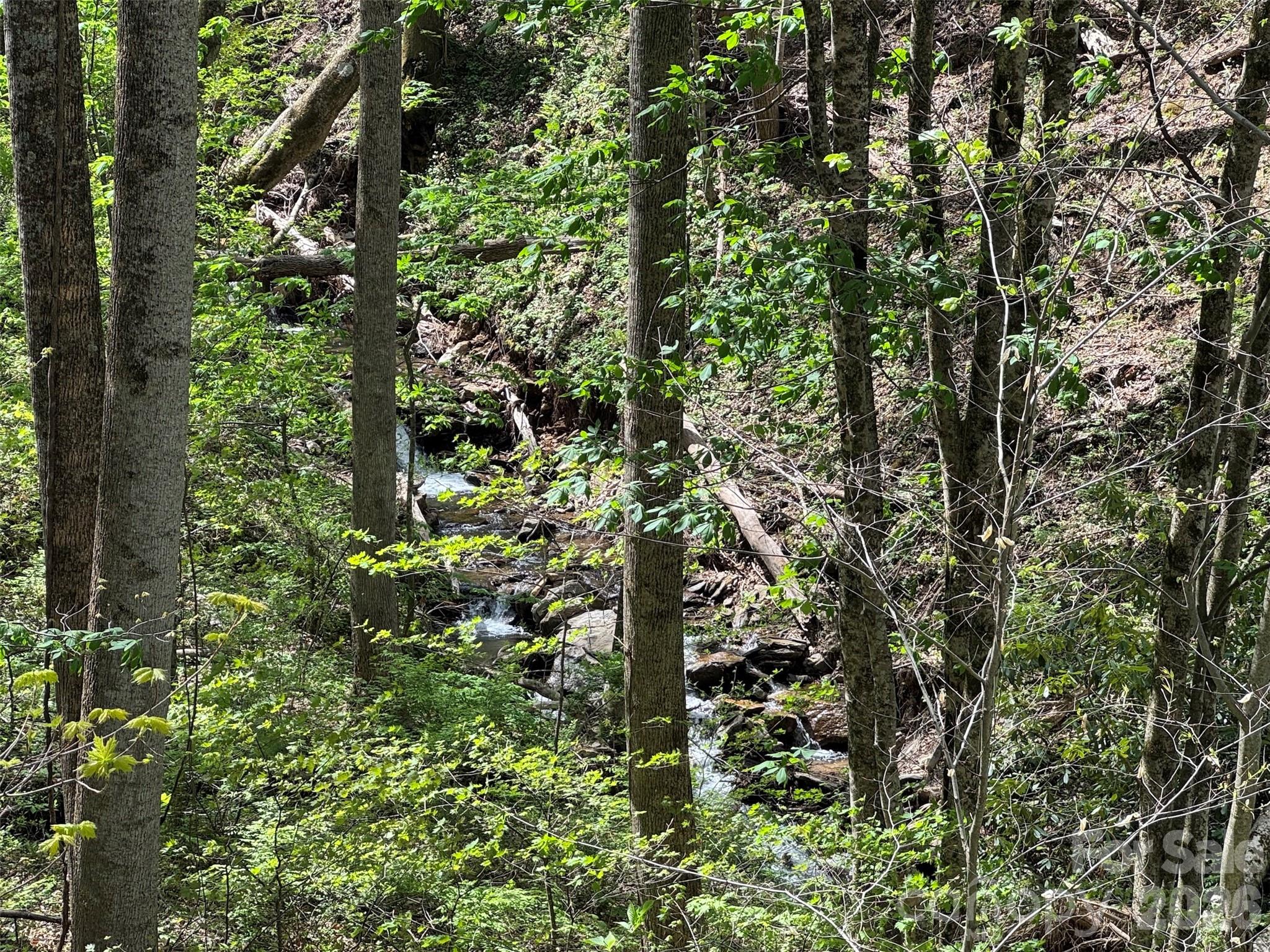 Tbd (B) Browning Branch Road Waynesville NC 28786