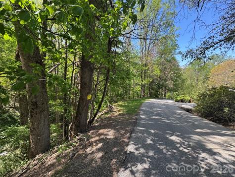 Tbd (B) Browning Branch Road Waynesville NC 28786