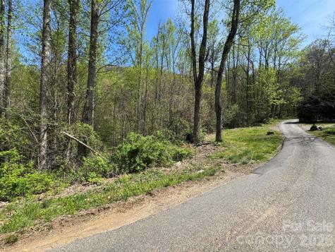 Tbd (B) Browning Branch Road Waynesville NC 28786