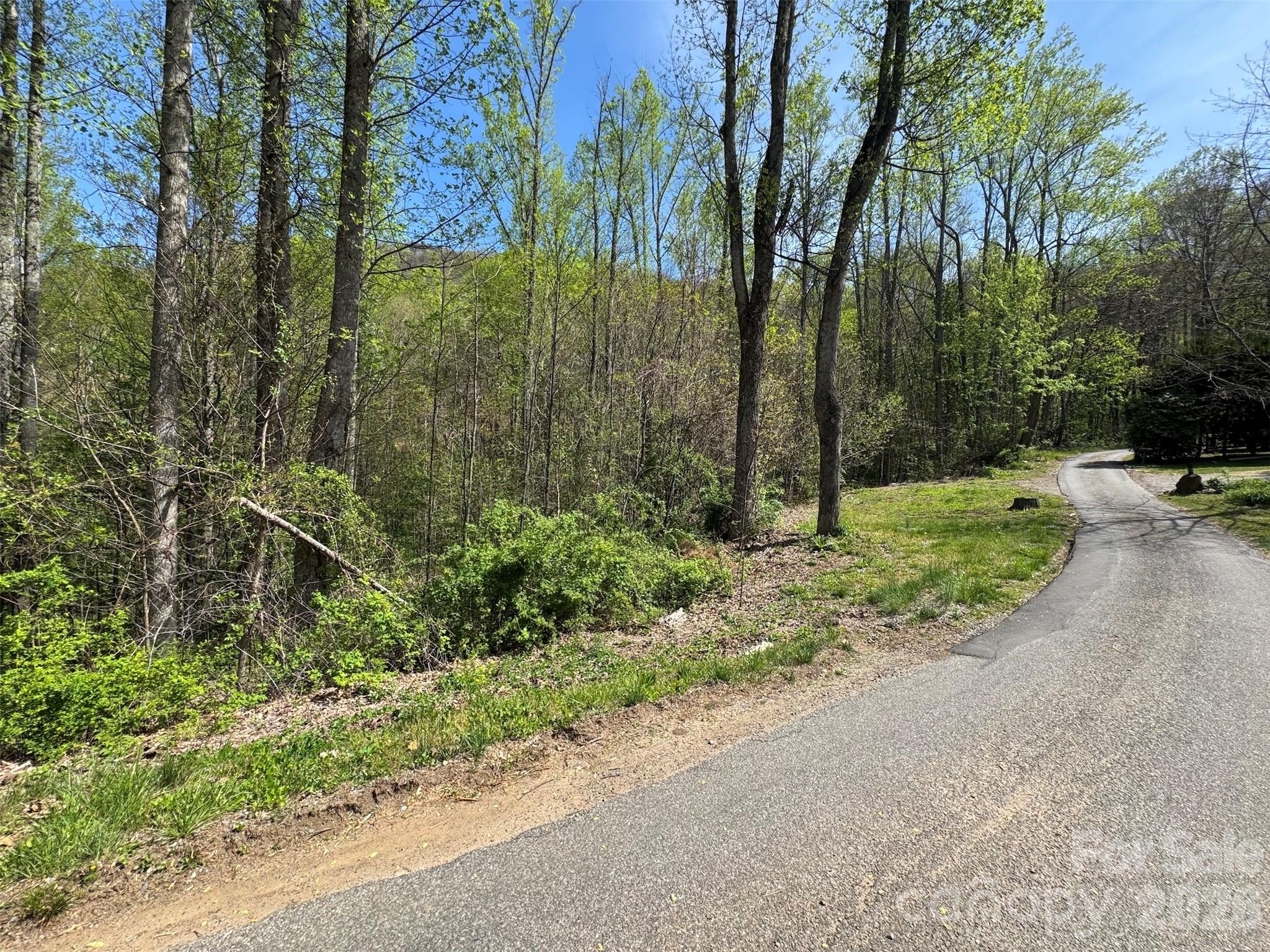 Tbd (B) Browning Branch Road Waynesville NC 28786