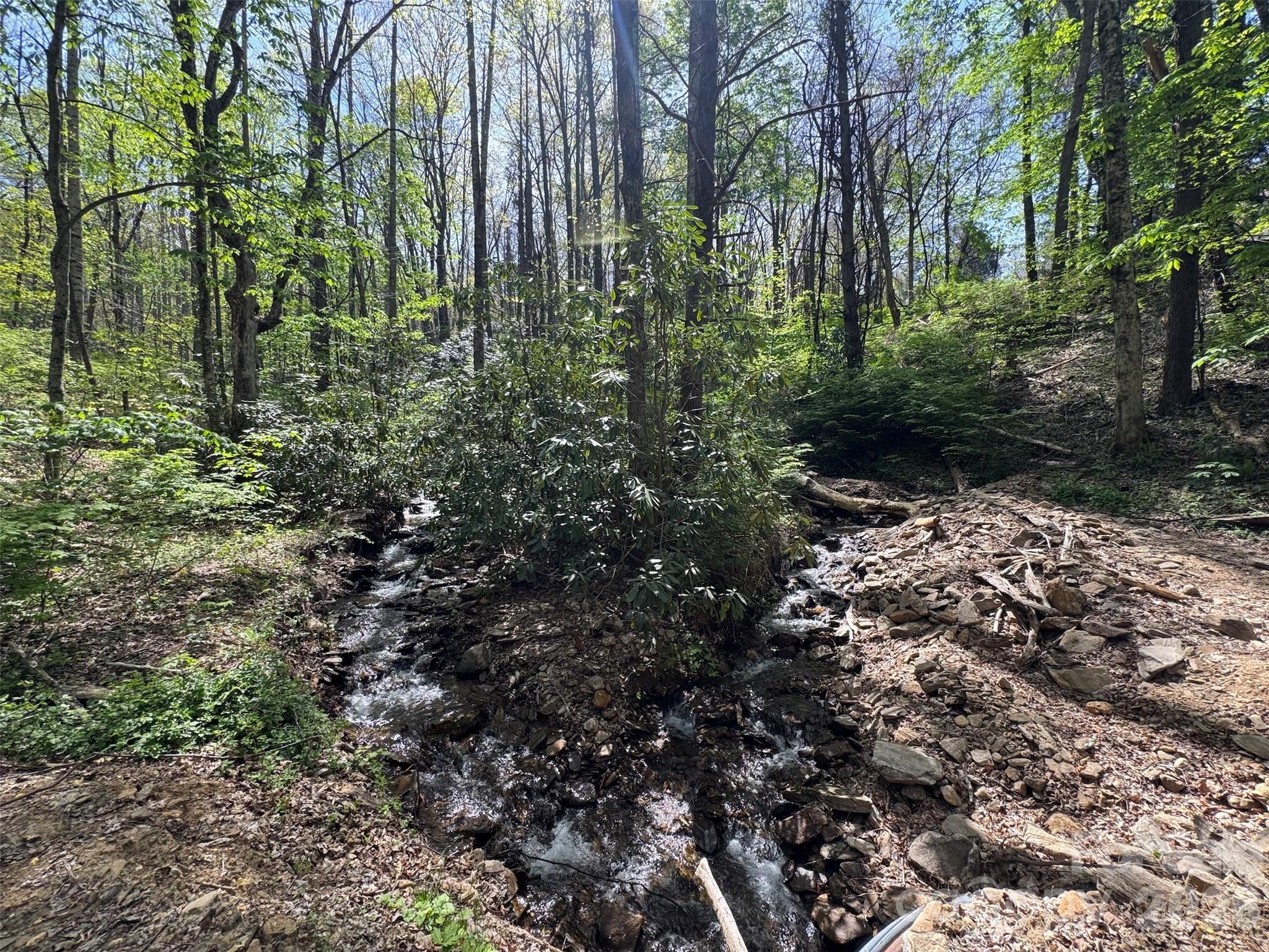 Tbd (B) Browning Branch Road Waynesville NC 28786