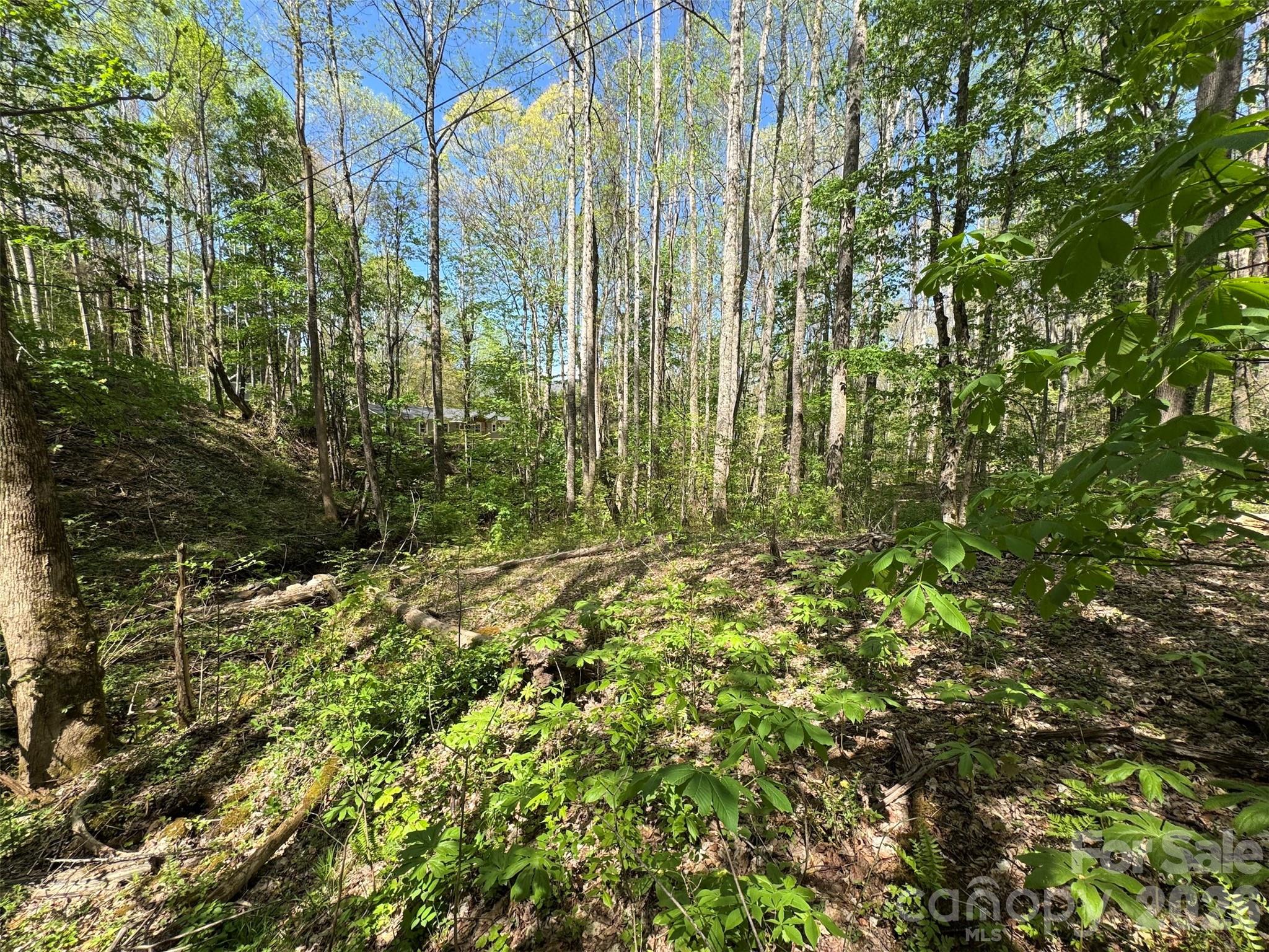 Tbd (B) Browning Branch Road Waynesville NC 28786