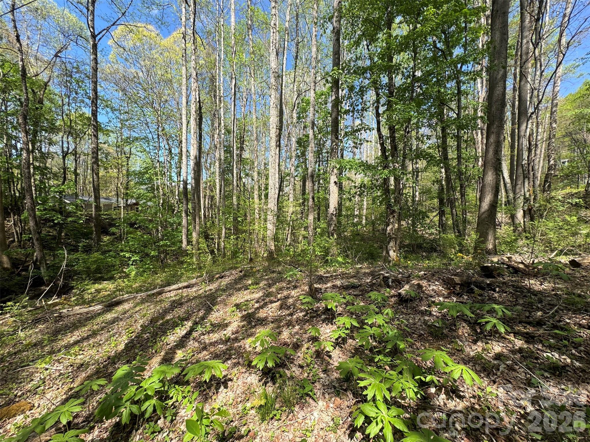 Tbd (B) Browning Branch Road Waynesville NC 28786