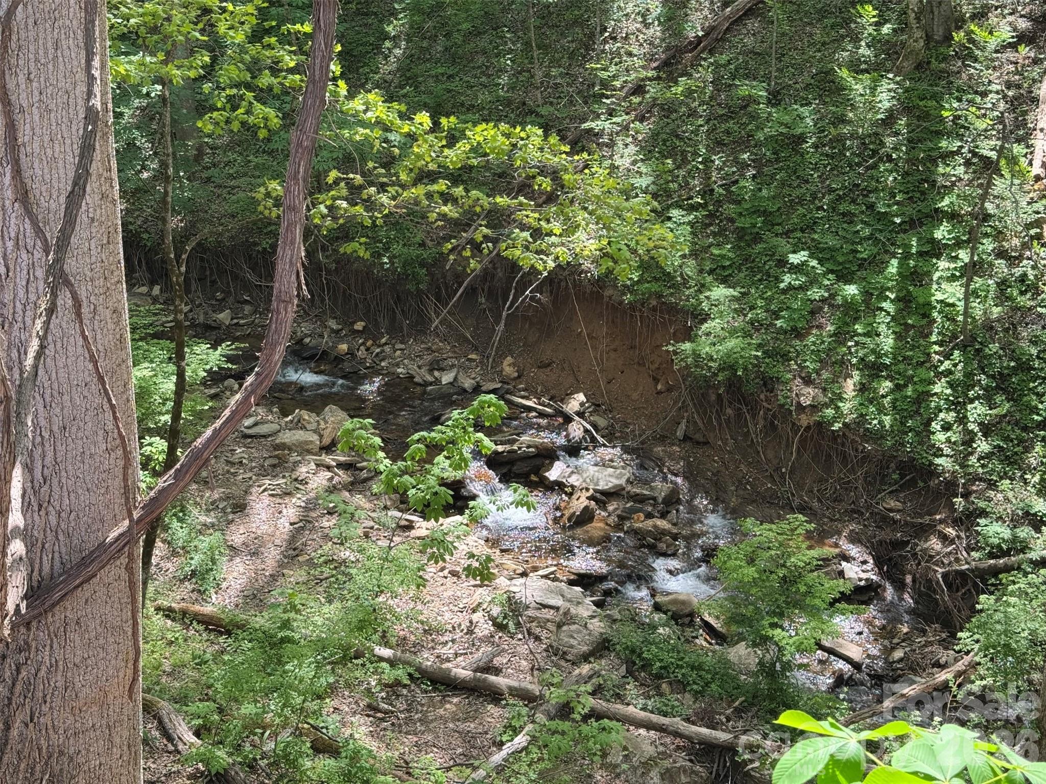Tbd (B) Browning Branch Road Waynesville NC 28786