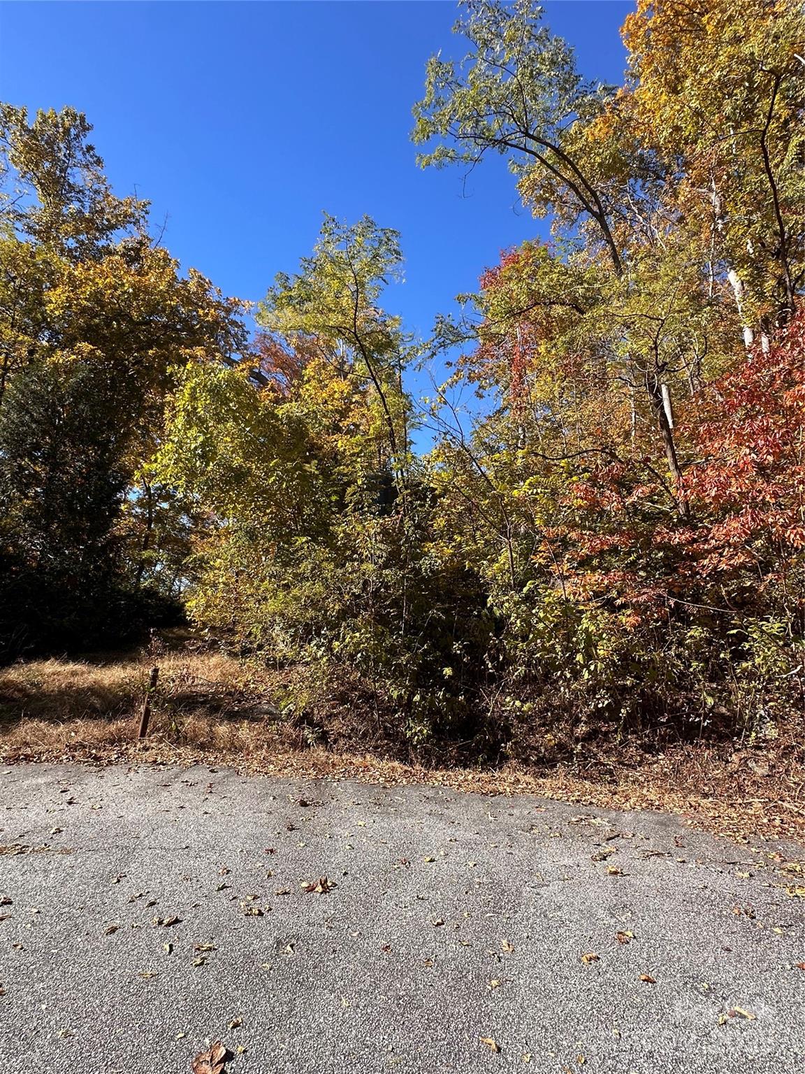 000 Cascada Vista Drive Chimney Rock NC 28720
