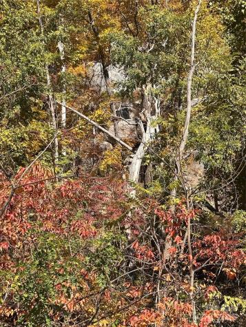 000 Cascada Vista Drive Chimney Rock NC 28720
