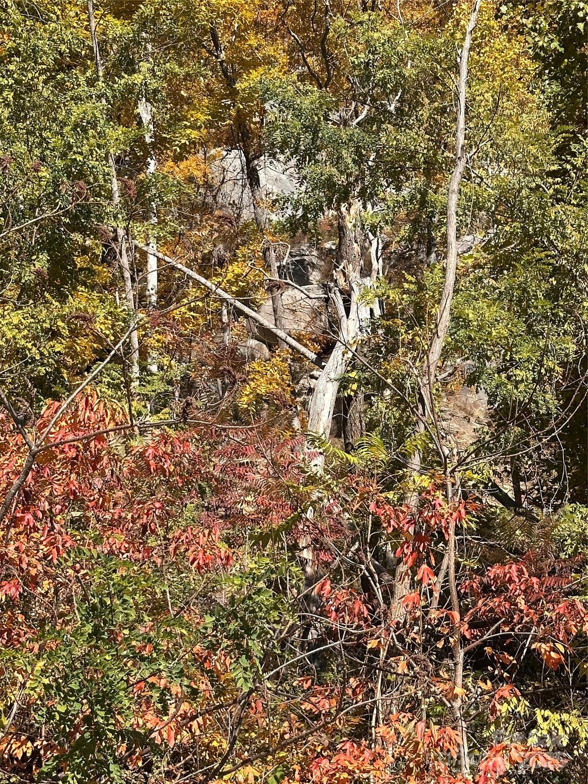 000 Cascada Vista Drive Chimney Rock NC 28720