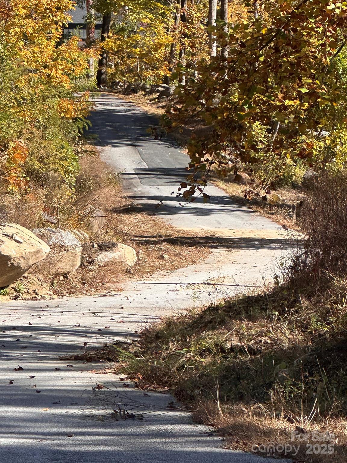 000 Cascada Vista Drive Chimney Rock NC 28720