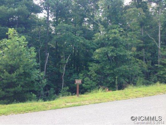 10 Old Bridge Circle Fairview NC 28730