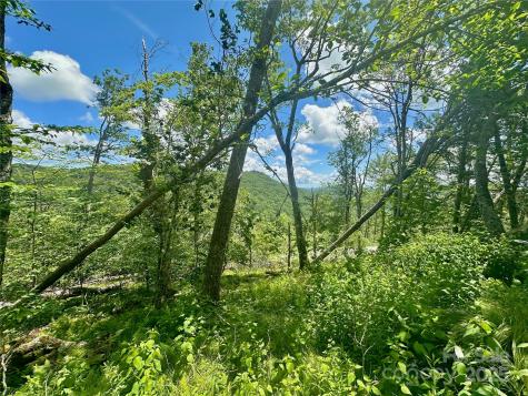 255/256 Grouse Moor Drive Sugar Mountain NC 28604