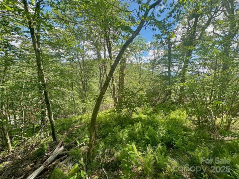 255/256 Grouse Moor Drive Sugar Mountain NC 28604