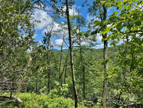 255/256 Grouse Moor Drive Sugar Mountain NC 28604