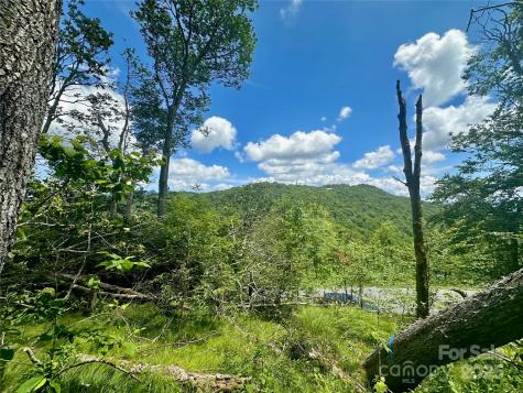 255/256 Grouse Moor Drive Sugar Mountain NC 28604