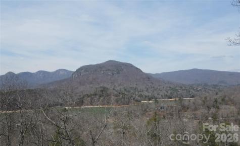 229 Buzzards Place Lake Lure NC 28746