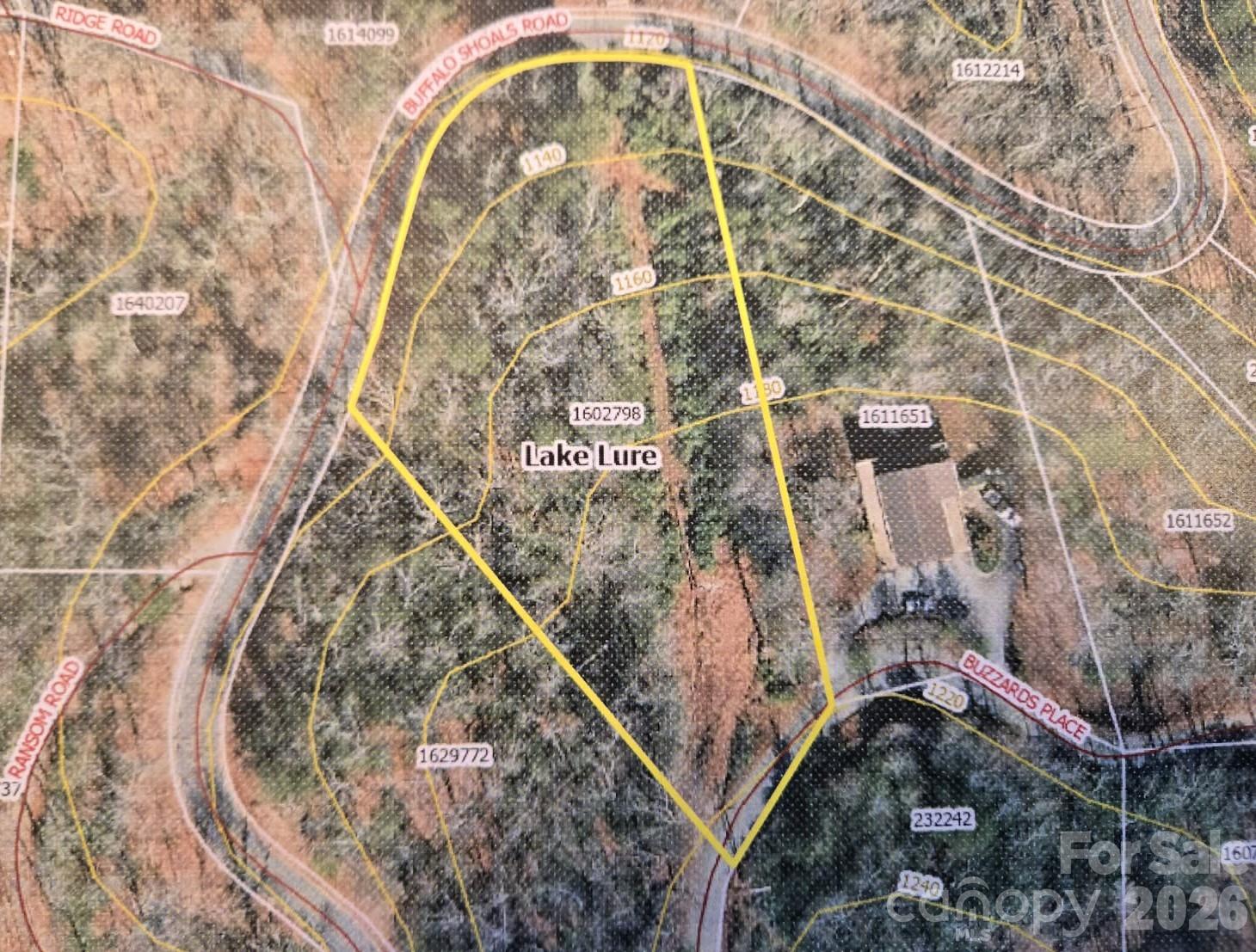229 Buzzards Place Lake Lure NC 28746