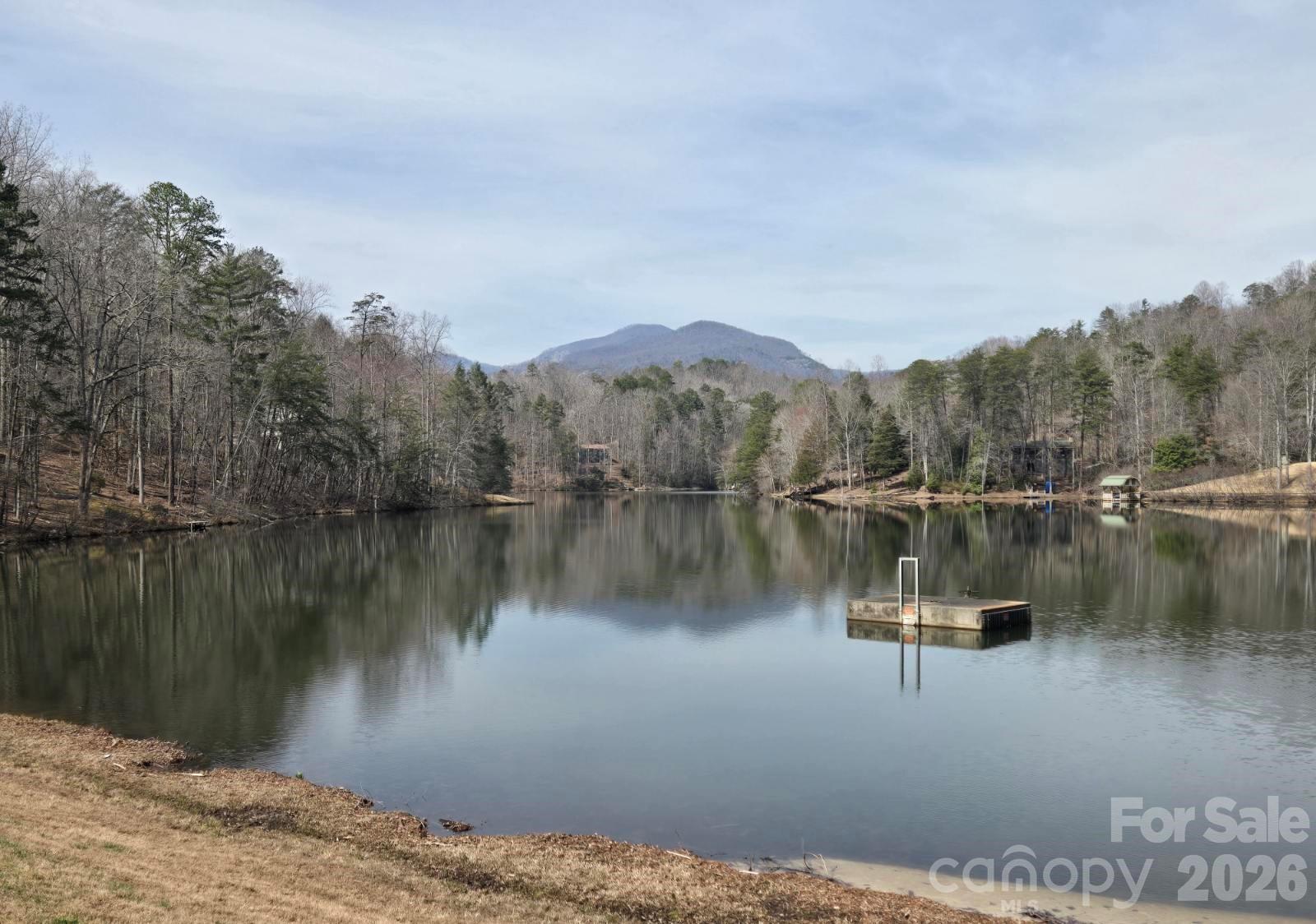 229 Buzzards Place Lake Lure NC 28746