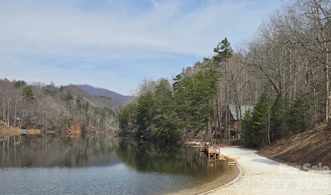 229 Buzzards Place Lake Lure NC 28746