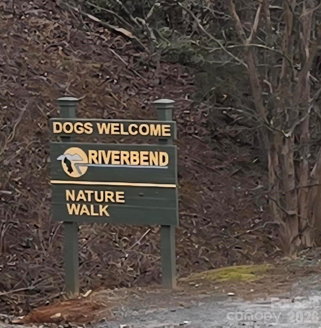 229 Buzzards Place Lake Lure NC 28746