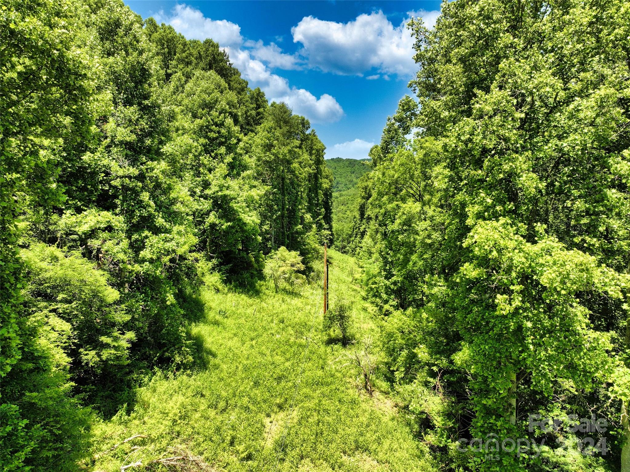 3065 Piney Hill Road Burnsville NC 28714