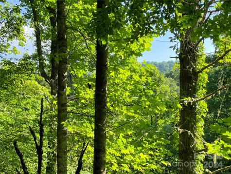 3065 Piney Hill Road Burnsville NC 28714
