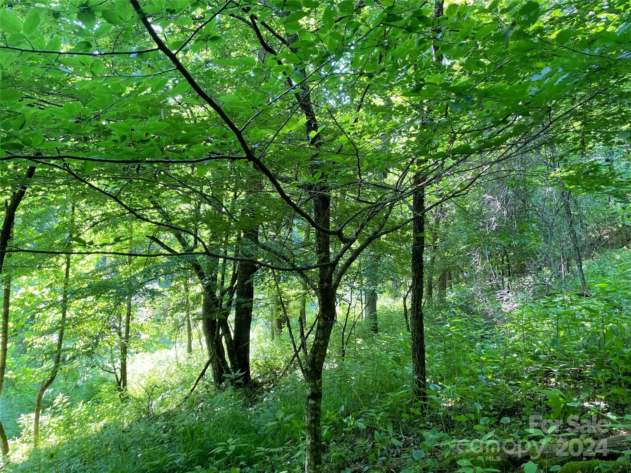 3065 Piney Hill Road Burnsville NC 28714