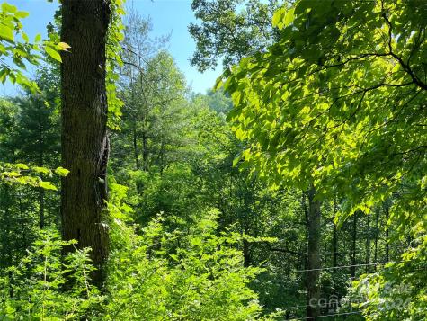 3065 Piney Hill Road Burnsville NC 28714
