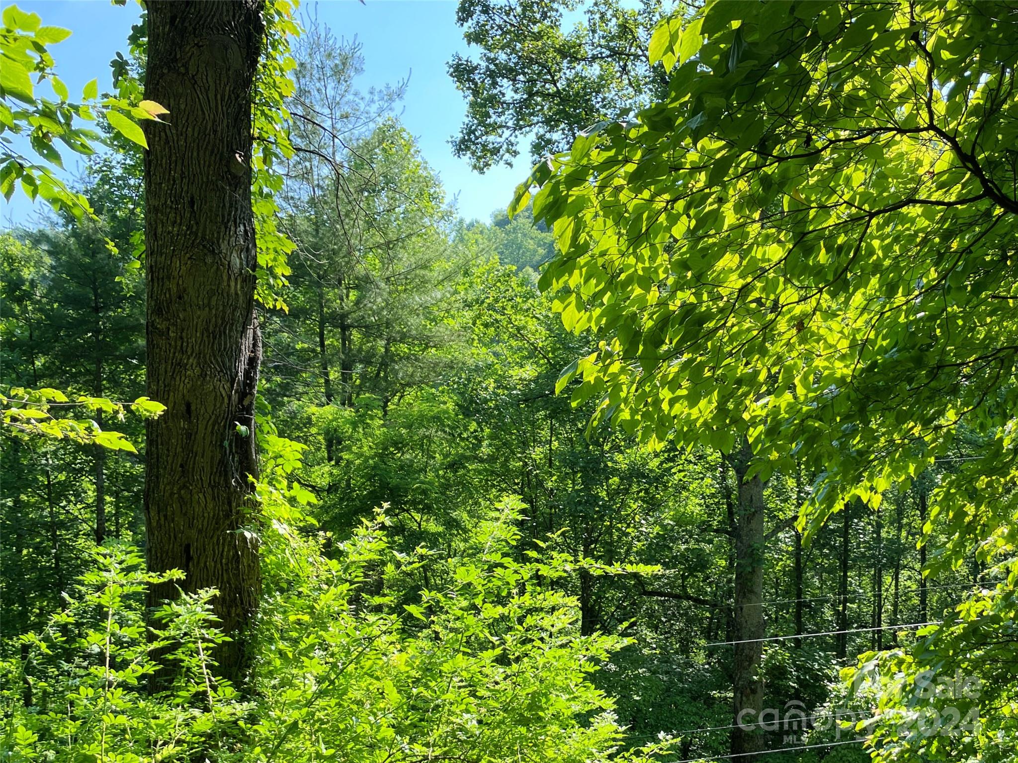 3065 Piney Hill Road Burnsville NC 28714