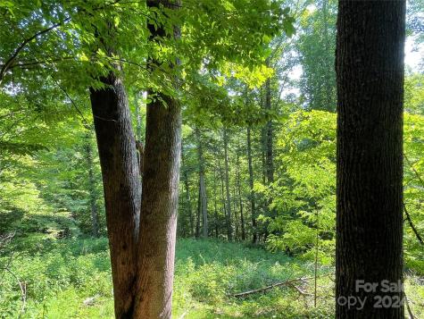 3065 Piney Hill Road Burnsville NC 28714