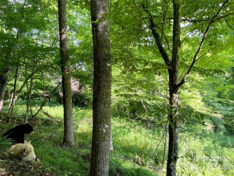 3065 Piney Hill Road Burnsville NC 28714