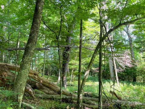 3065 Piney Hill Road Burnsville NC 28714