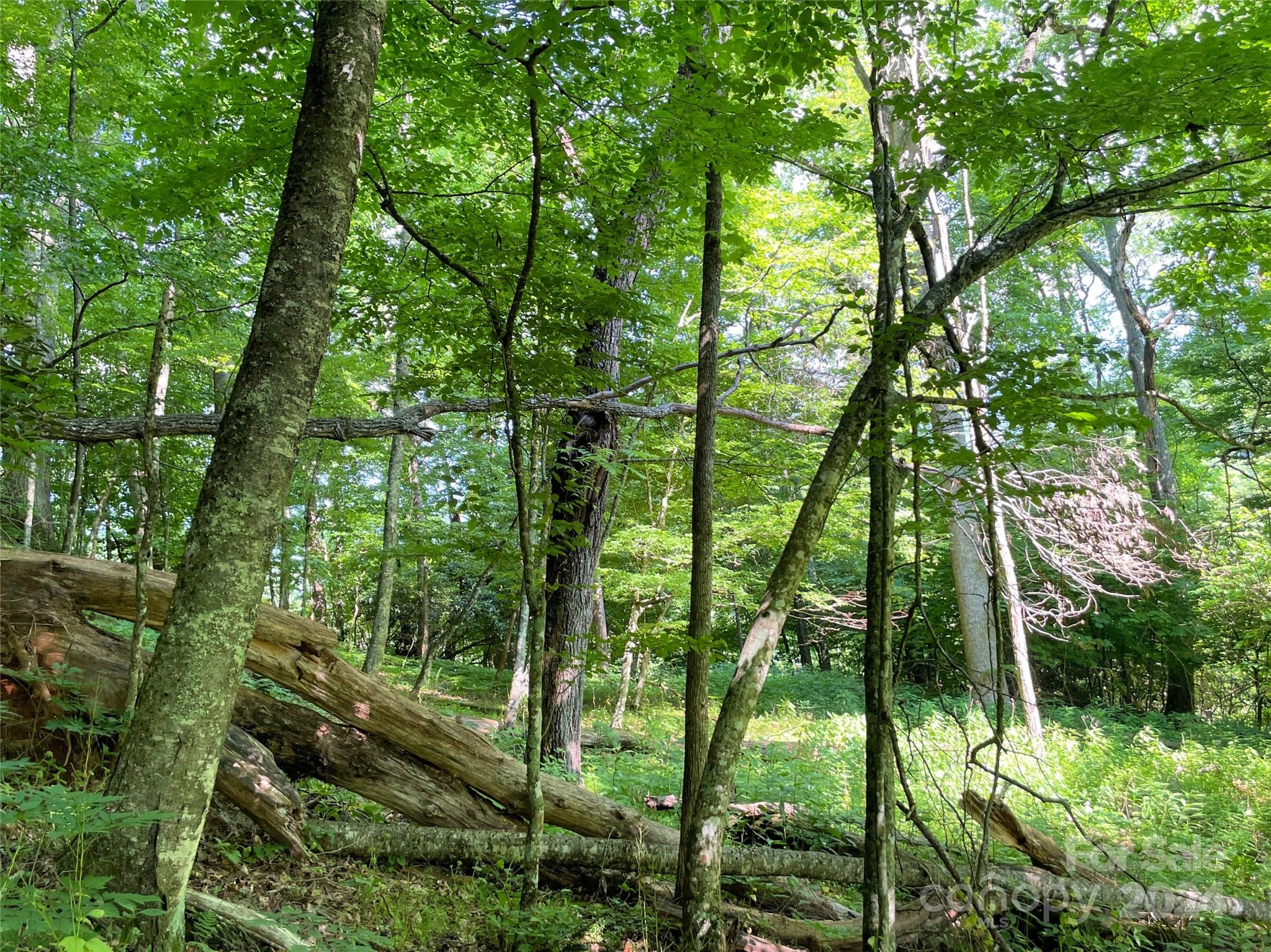 3065 Piney Hill Road Burnsville NC 28714