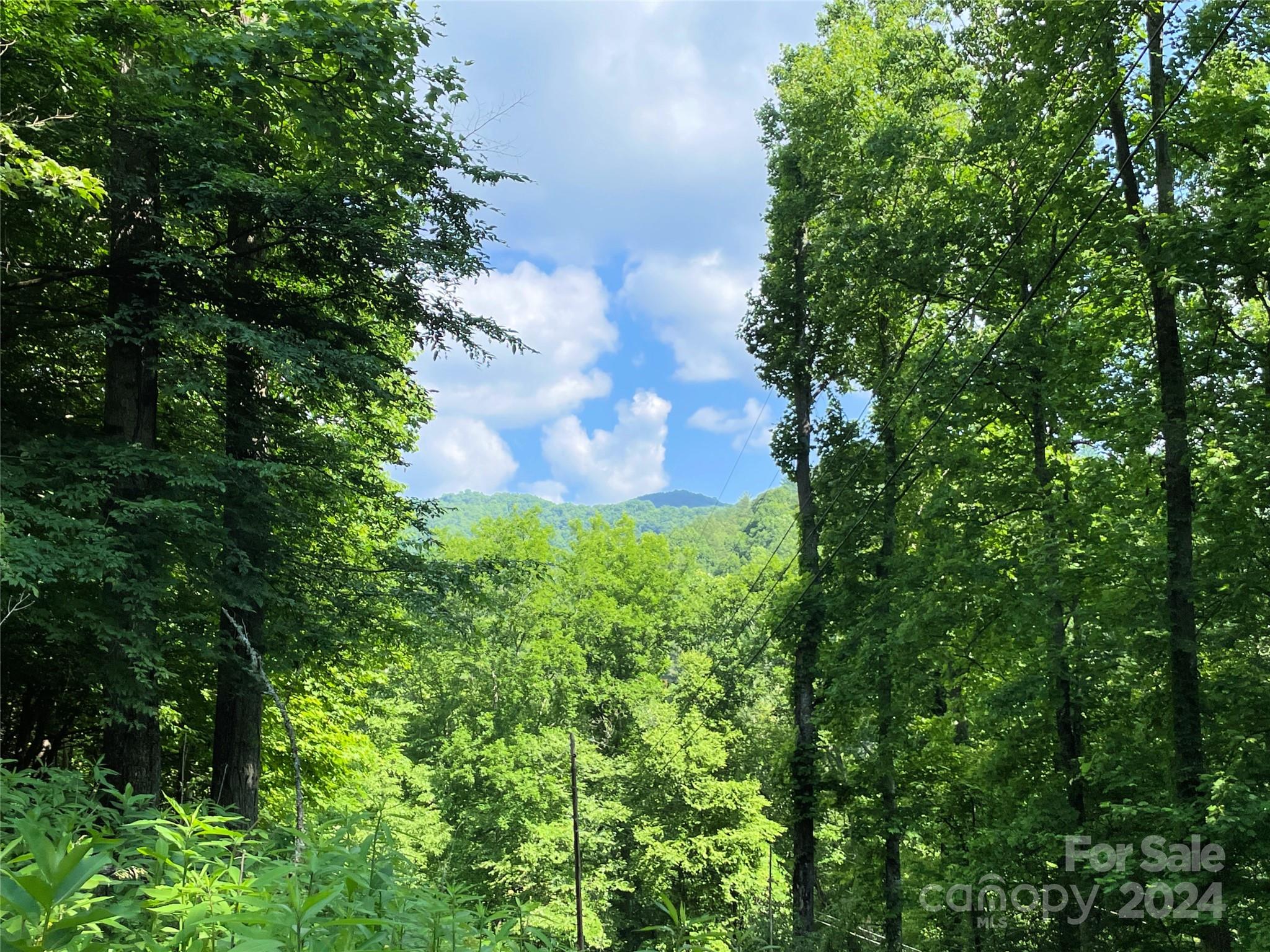 3065 Piney Hill Road Burnsville NC 28714