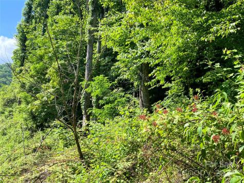 3065 Piney Hill Road Burnsville NC 28714