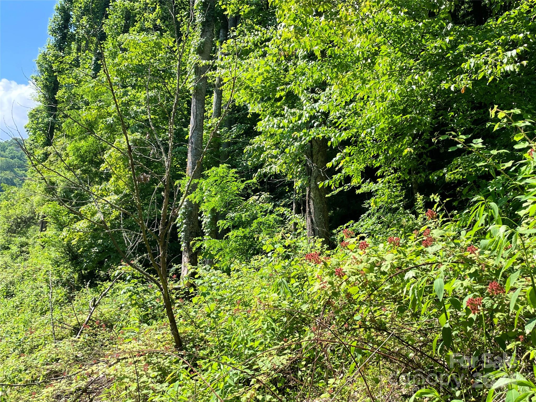 3065 Piney Hill Road Burnsville NC 28714